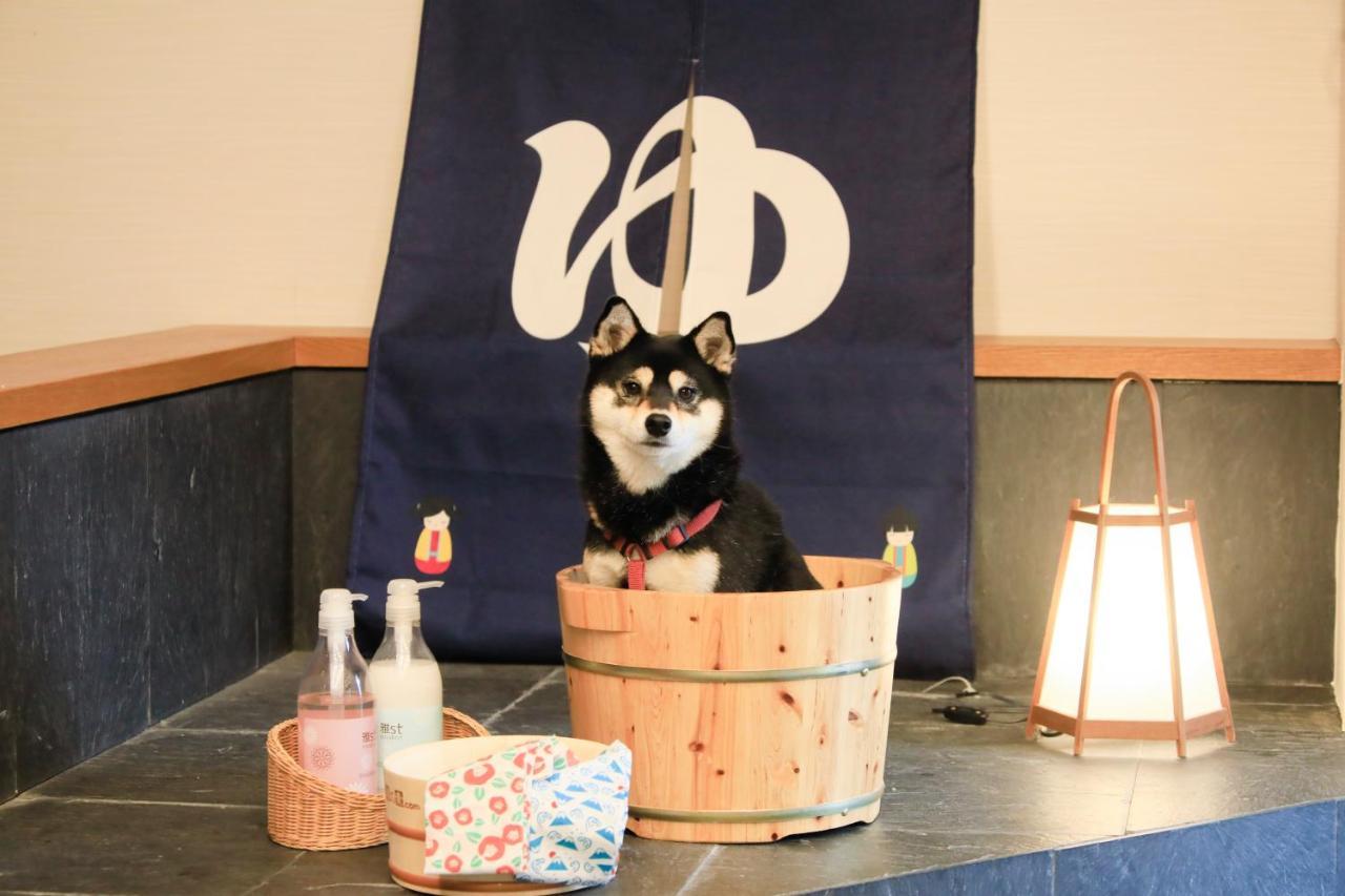 愛犬と泊まれる温泉宿ゆるり西伊豆 4* 伊豆市