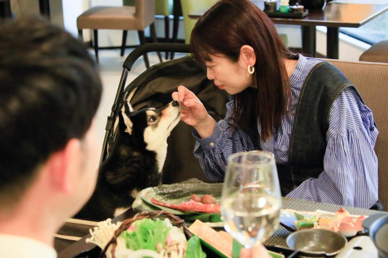 愛犬と泊まれる温泉宿ゆるり西伊豆 旅館
