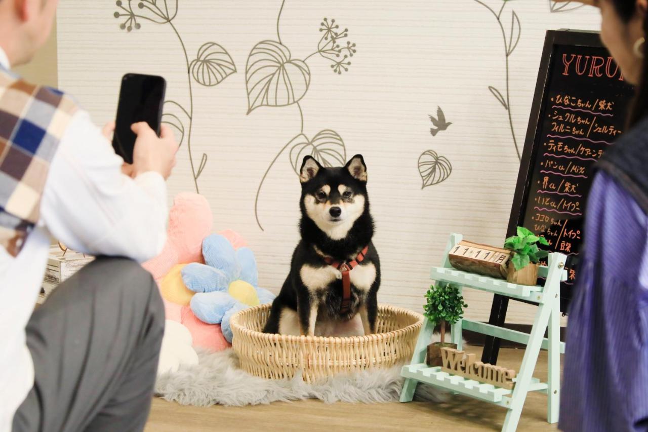 愛犬と泊まれる温泉宿ゆるり西伊豆