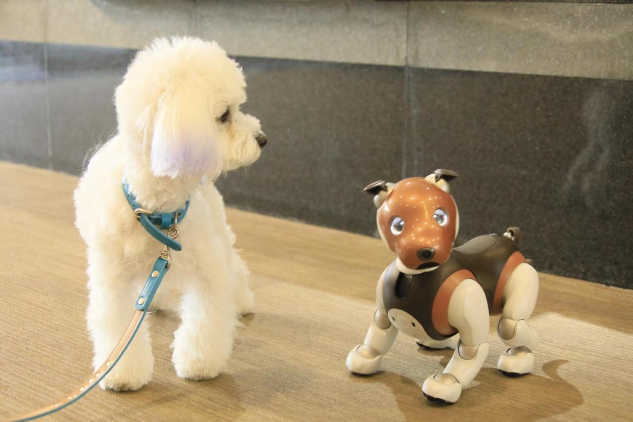 愛犬と泊まれる温泉宿ゆるり西伊豆 旅館 4*